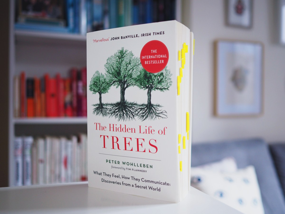 The Hidden Life of Trees – Peter Wohlleben – VK READS
